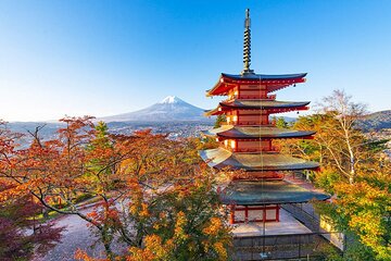 One Day Tour to Popular Attractions of Mount Fuji