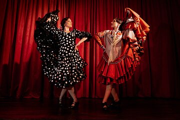 Flamenco Show at Dalmases Palace in Barcelona 