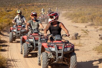 Agadir/Taghazout: Desert ATV Adventure with Tree-Climbing Goats