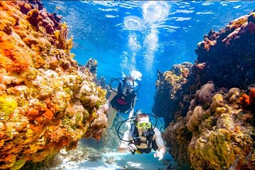 Double Dive Adventure Ras Mohammed & White Island–Sharm El Sheikh