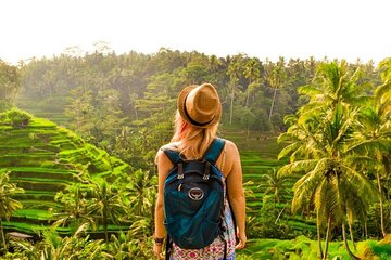 Ubud Tour: Monkey Forest, Rice Terrace, Temple and Waterfall