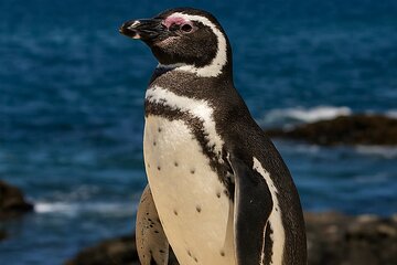 Pacific Ocean Hike Private Tour 7K