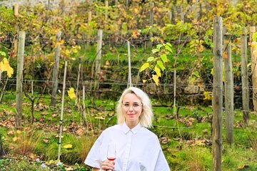 The Vine and Cheese Vineyard Walk in Paris-- Private Tour