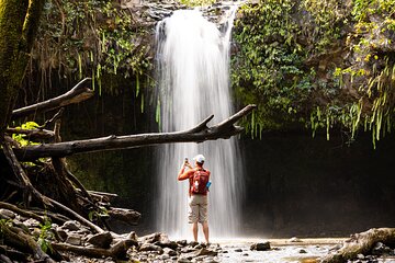 Waterfall & Rainforest Hiking Adventure with Hotel Pickup