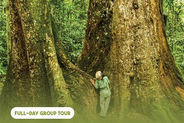 Ha Noi: Full-day Cuc Phuong National Park Eco-adventure
