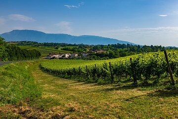 From Verona to Valpolicella: Romance, Villages and Fine Wines
