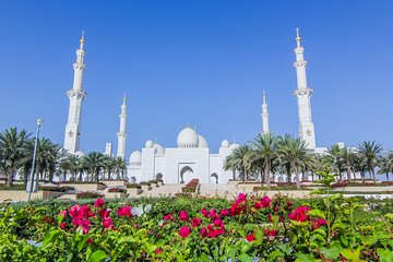 Abu Dhabi Falcon Hospital visit & Sheikh Zayed Mosque from Dubai
