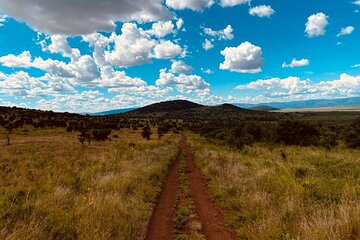  Safari Experience at Akagera National Park