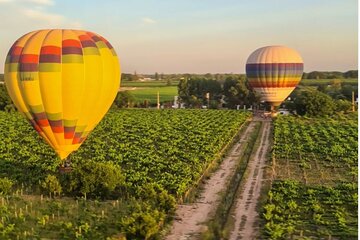 Hot Air Balloon Ride over the Vineyards with Wine Toast
