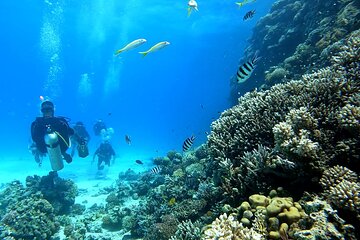 Hurghada Diving Trip Beginner to Advanced Divers