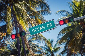 See & Visit the Best of Miami - All in One Day Tour