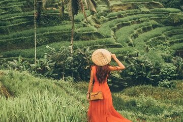 Bali Benoa Shore Excursion from Benoa Port - All Inclusive