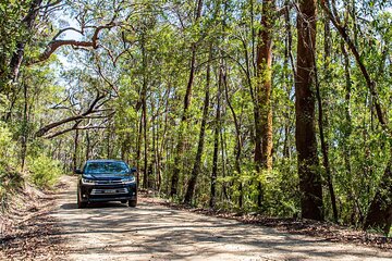 Private Blue Mountains Dirt Roads SUV Escape Tour