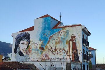 Puerto de la Cruz Adventure Hunt Self Guided 