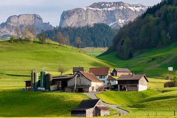 Appenzell Cow milking experience from Zurich with alpine scenery