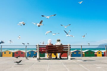 Discover Hidden Gems of Cape Town