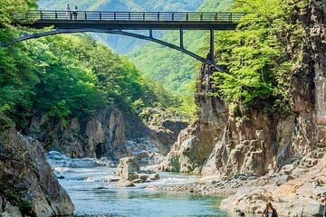 Tokyo Customized Nikko Sightseeing Private Tour