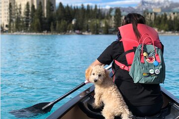 Shared Shuttle Day Trip to Banff Lake Louise & Moraine