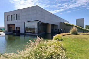 Tour Bodega y Olivícola con Almuerzo en Maipú