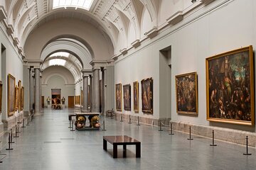 VIP Private Early Tour to Prado Museum and Wake up with Art