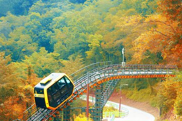 Ganghwa DMZ + Traditional Market + Hwagae Garden Day Tour