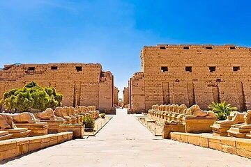  Private 2- half Day Tour in Luxor east and west bank 