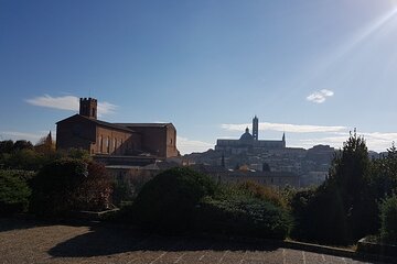 Private transfer Florence Peretola Airport from or to Siena City 