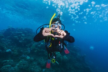 Side Scuba Diving for Beginners with Lunch and Transfers