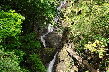 Waterfall and Monkeys from Jaco