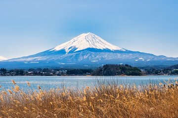 Full Day Tour in Mt. Fuji and Hakone with English Speaking Driver