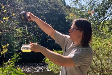 Meiji Shrine Tea Ceremony and Ancient Magic Practice