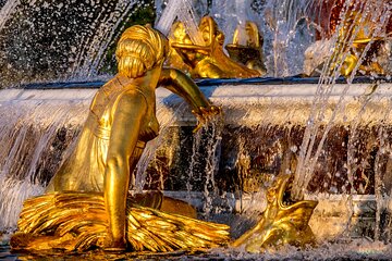 Versailles Small Group Guided Tour by Minibus from Paris