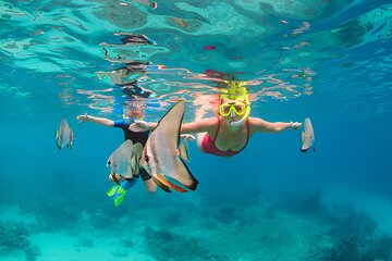 Ras Mohamed and White Island Snorkeling Trip at Sharm El Sheikh