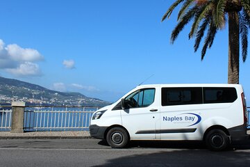 Pompeii & Sorrento Private Tour with Guide and Driver from Naples
