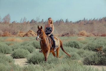 Horse Riding Two hours At Amazing Desert with transfer - Marsa Alam