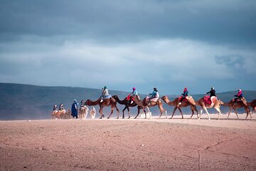 Desert Agafay: Quad bike & Camel Ride with Dinner Show 