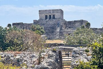 Tulum Cenotes Tour Experience