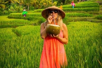 Bali Customized Day Tour With English Speaking Driver