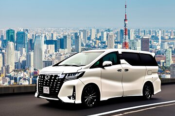 Tokyo 5-Hour Private Day Trip with Airport Pickup or Drop-off