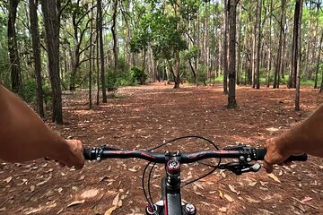 The East Coast in Two Wheels Fat Bike Eco Tour