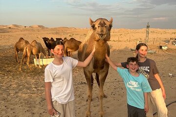Multi day Tour Adventure Dubai Abu Dhabi Tour & Desert Safari 