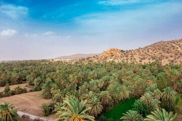 Day trip to Taroudant from Agadir