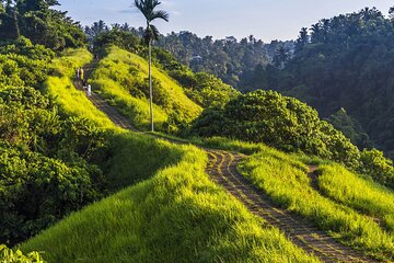Ubud Story Walking Tour by Spanish, Japanese, English Guide