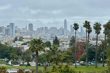 3hr Private SF City Tour In Electric VW Van