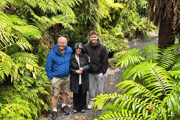 Full-Day Auckland Discovery