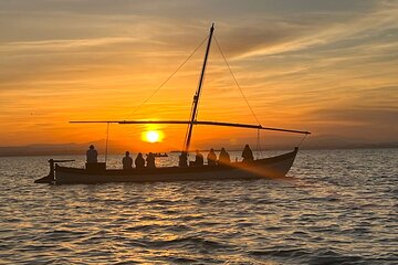 From Valencia: Albufera Boat Ride & Food (Paella) Included
