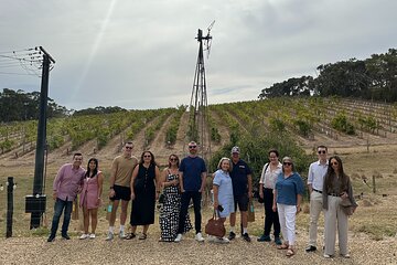 Full Day Wine Tasting Tour in McLaren Vale