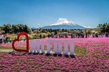 Mt. Fuji & Shibazakura Festival Trip with English Speaking Driver