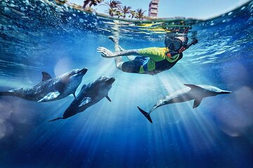 Atlantis Aquaventure Dubai Ticket