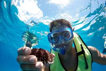 Mauna Kea 3hr Two Stop Snorkel Adventure
